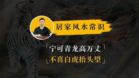 宁可青龙高万丈|宁要青龙高万丈，莫要白虎抬头望”到底是什么意思